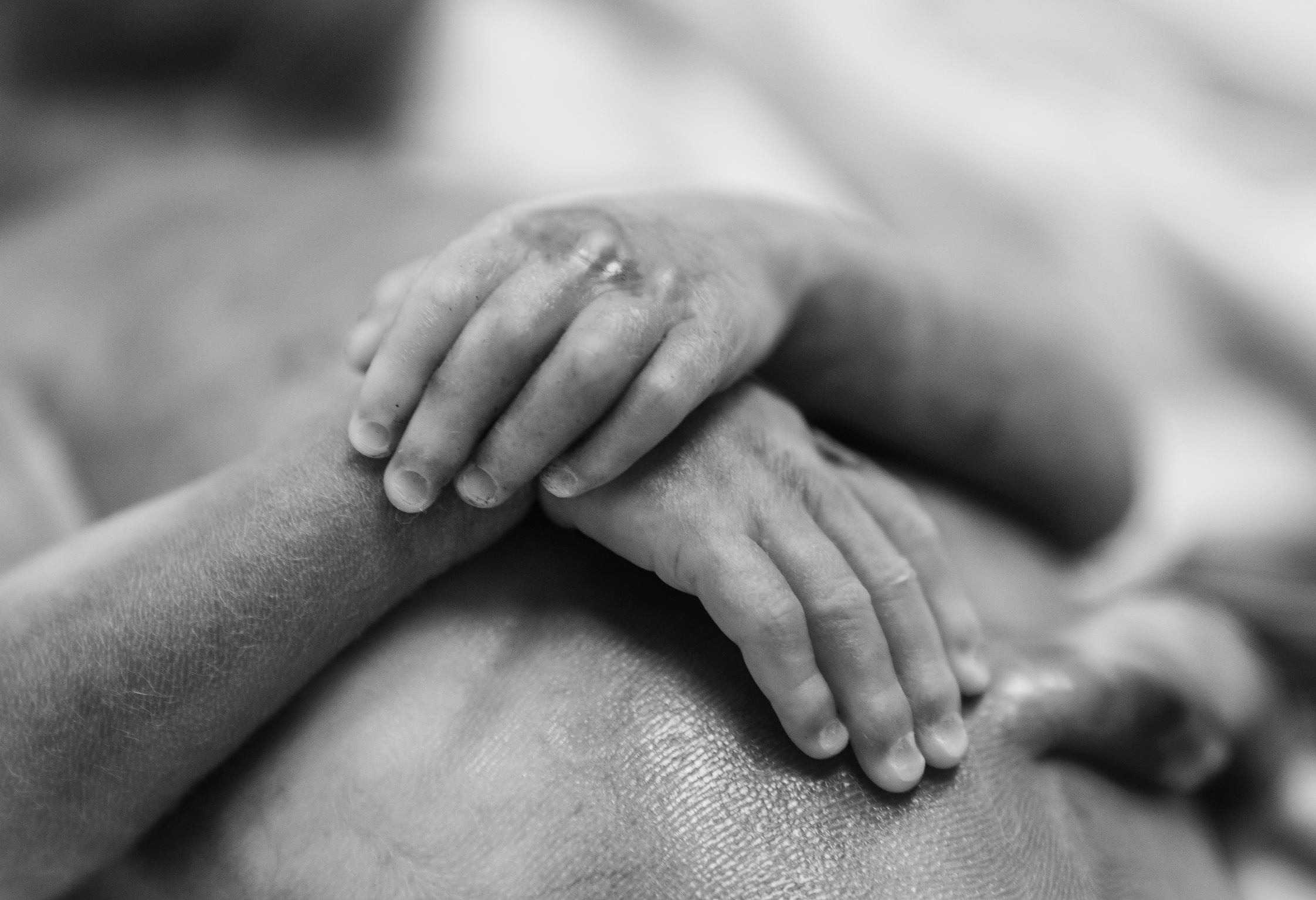 Sandro 12A2 Bymelanieöhm