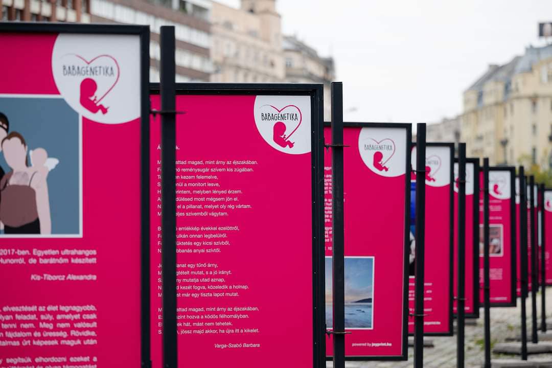 310788720 160786346582669 959971774795840095 N