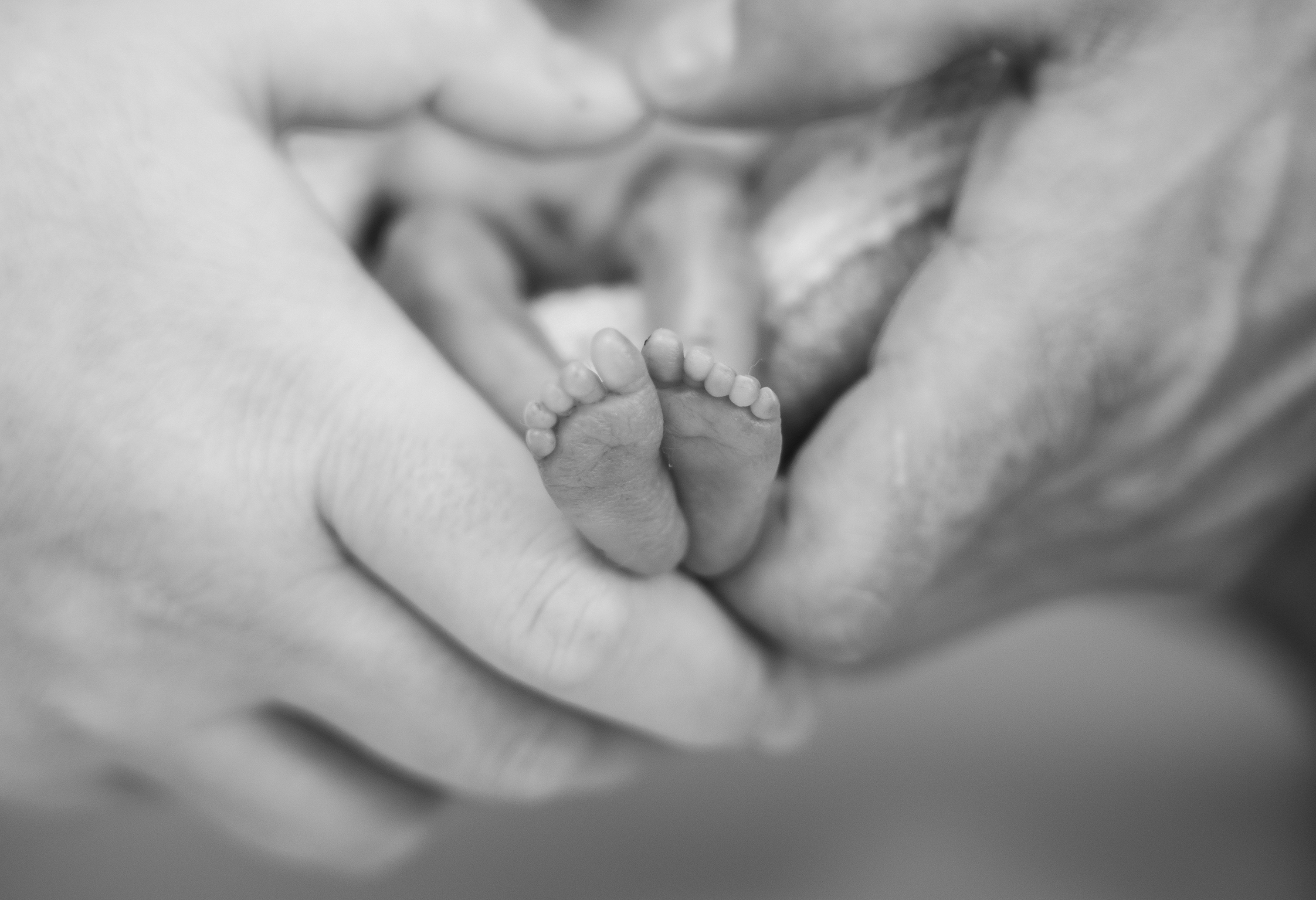 2211002 LKHFK 082 Copyright@Artofphotography At