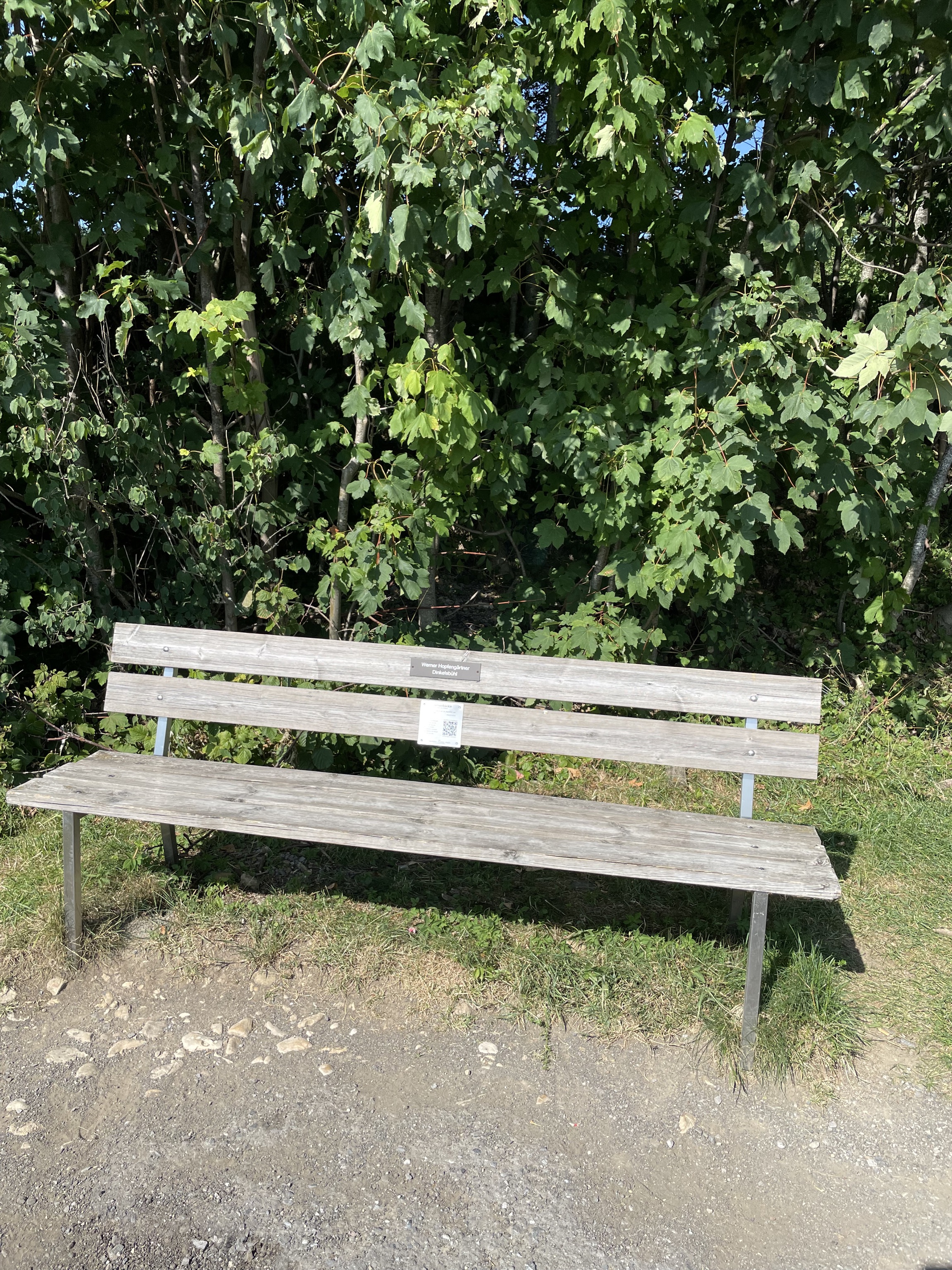 IMG 3273