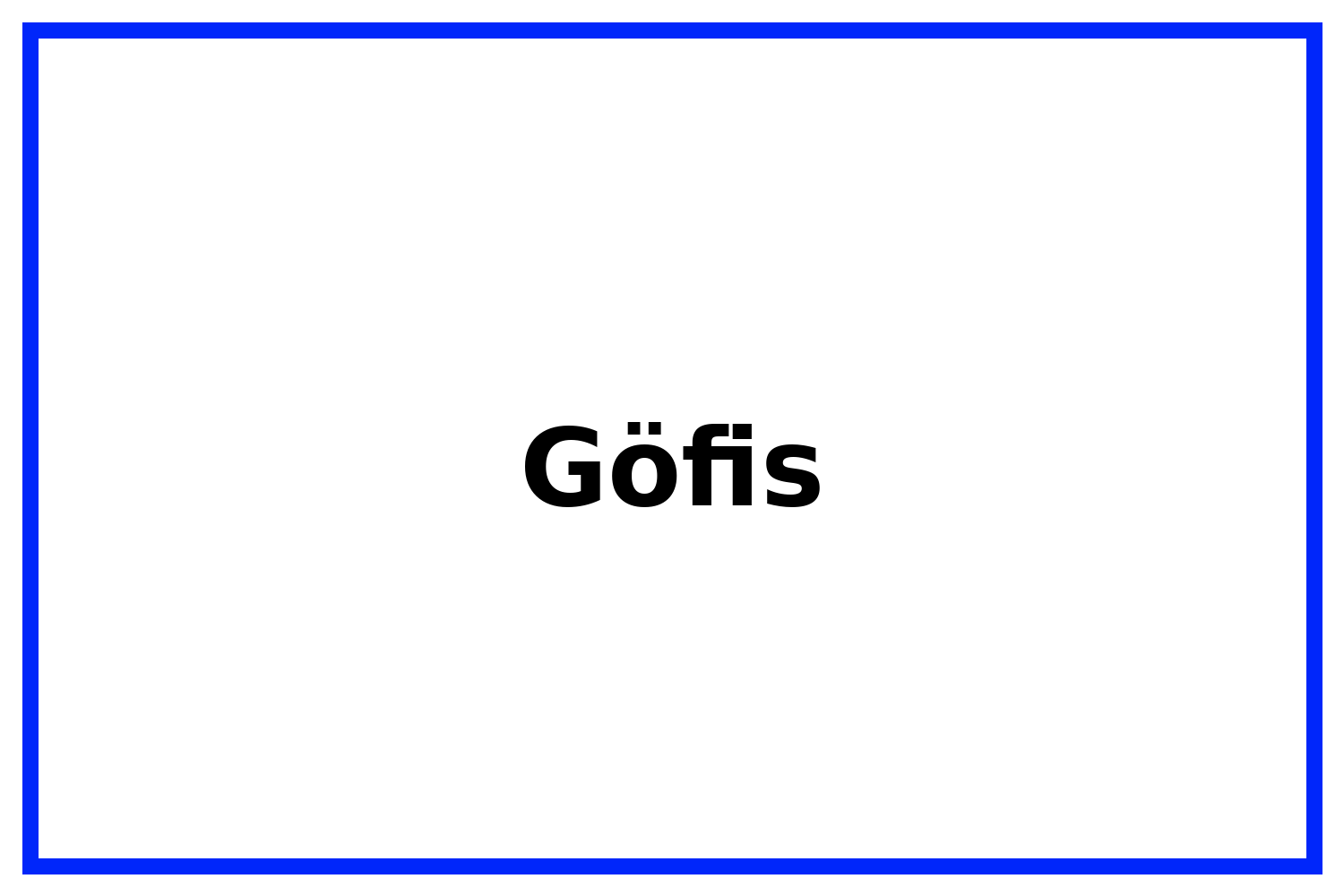 39 Göfis
