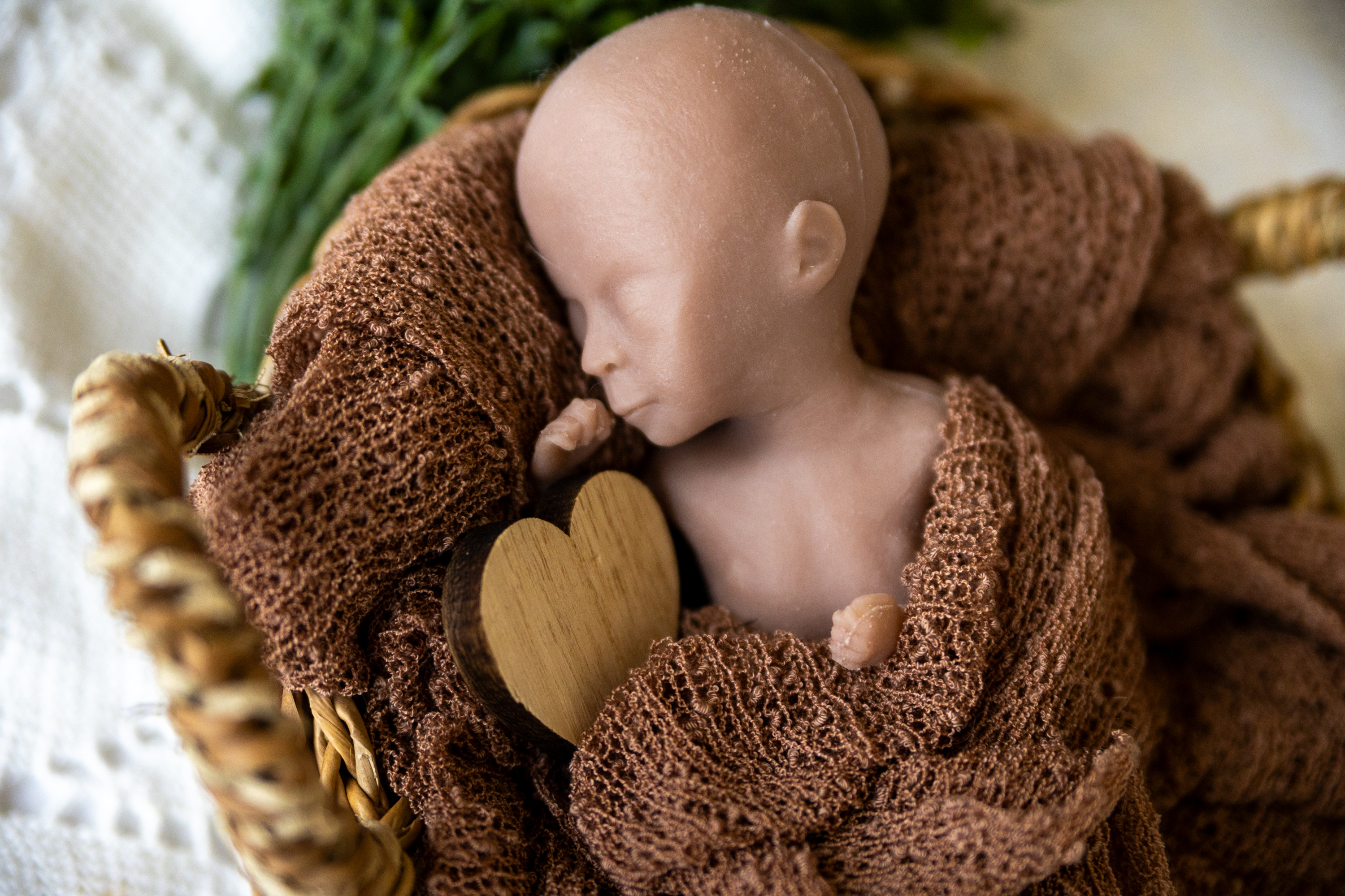 FEM Fotografie 20250217 LKHDO 08