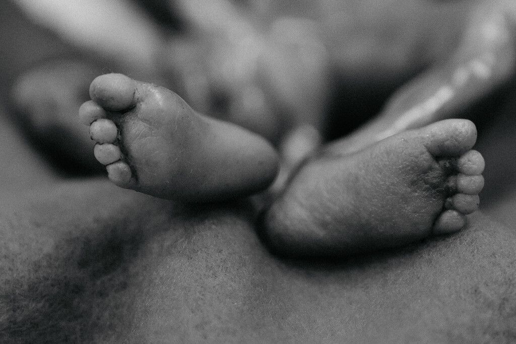 Babyfuesschen Die Nie Einen Schritt In D 1