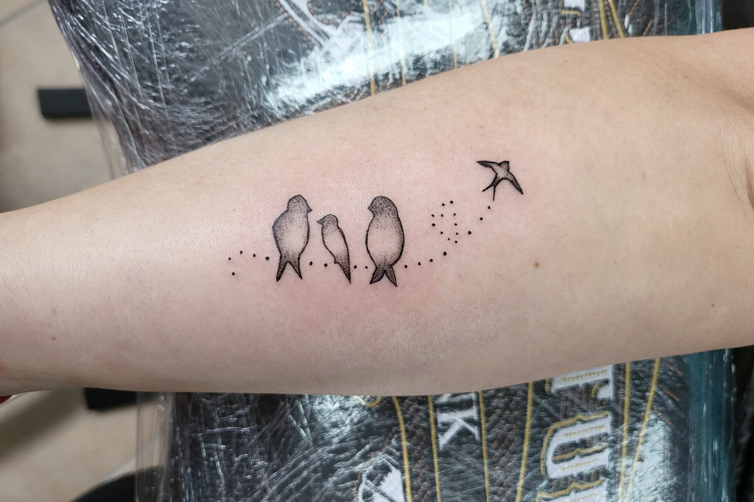 20230319 113629 2 Scaled