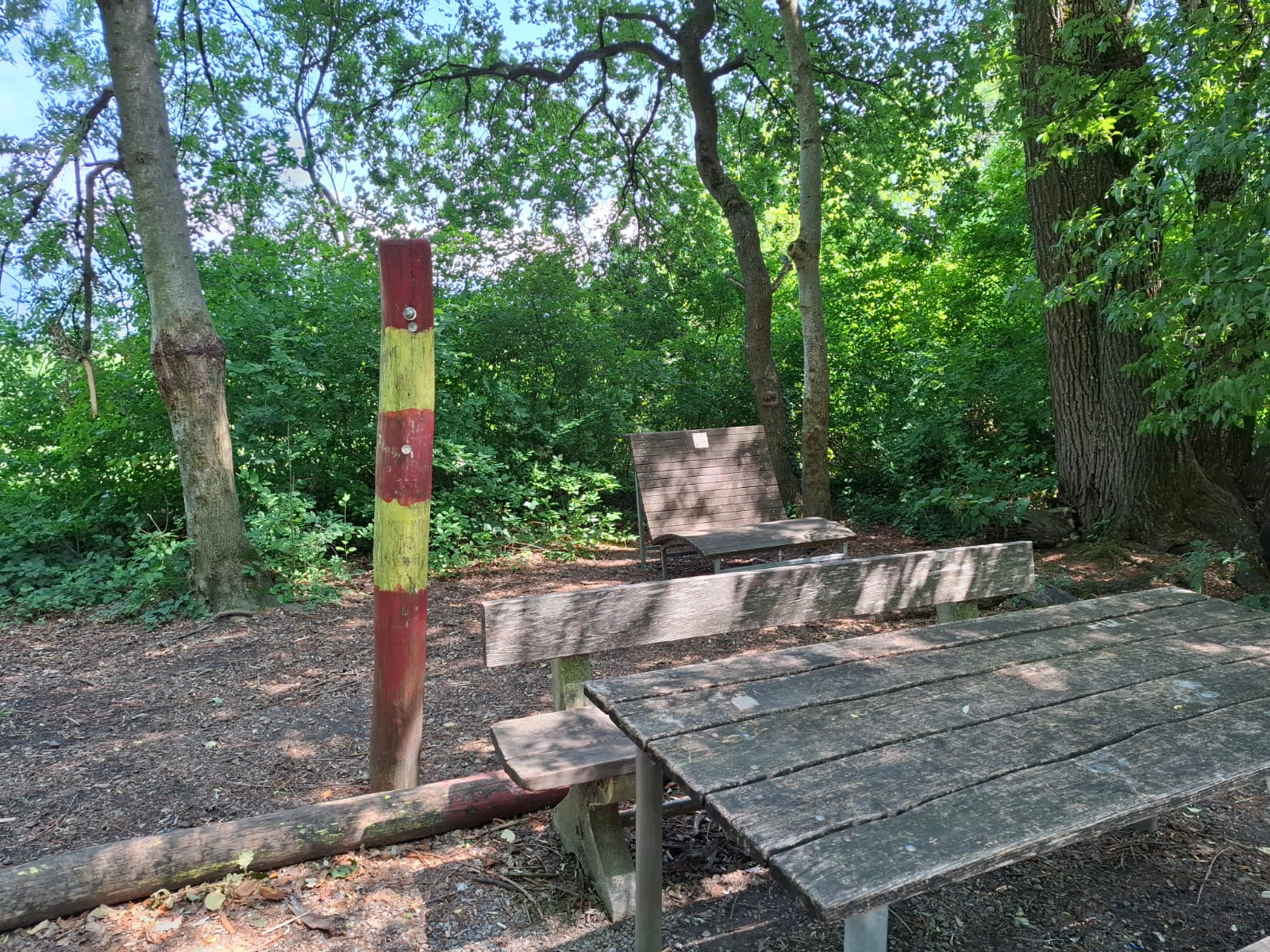 Zauberwald2