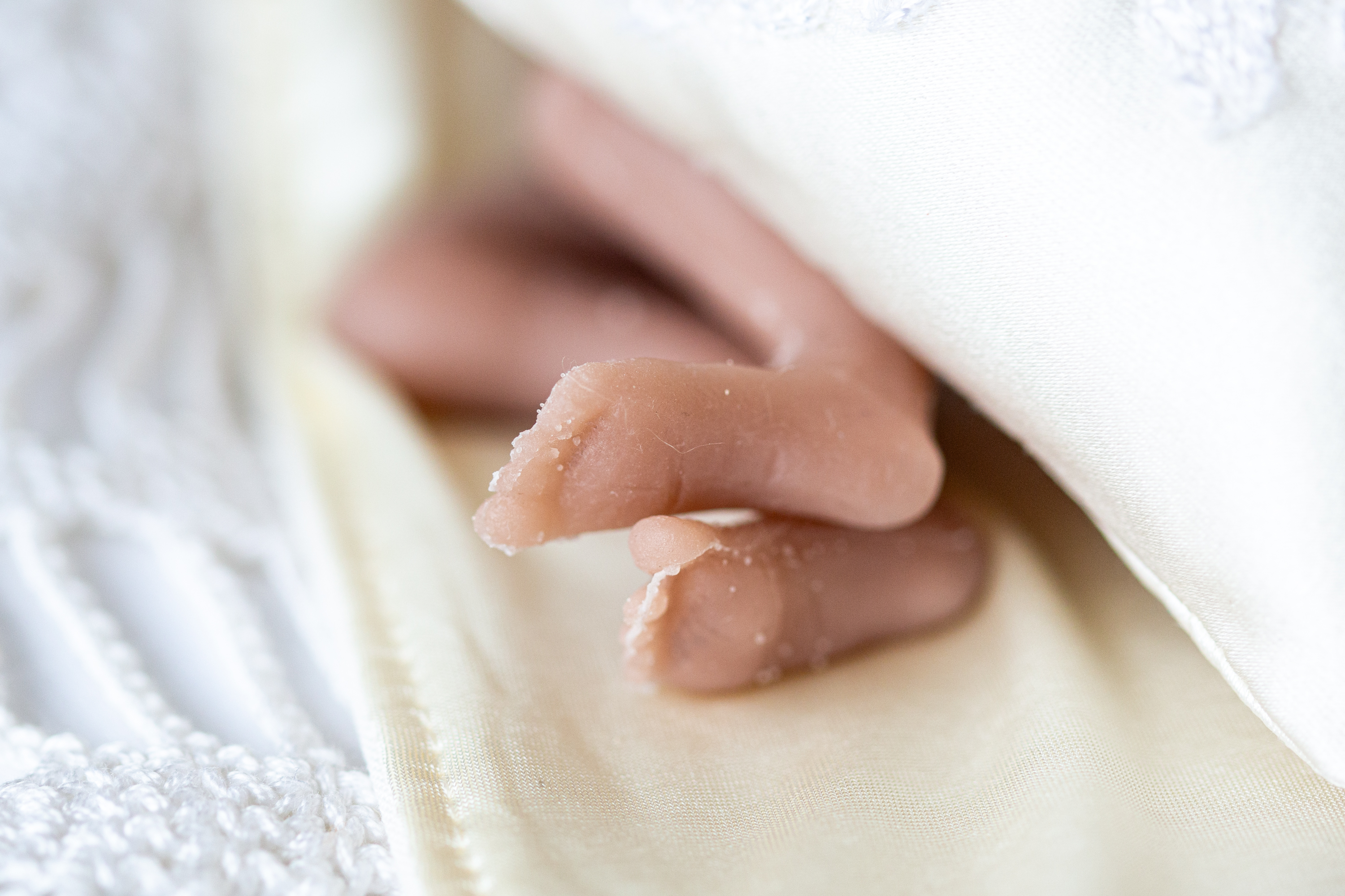 FEM Fotografie 20250217 LKHDO 61