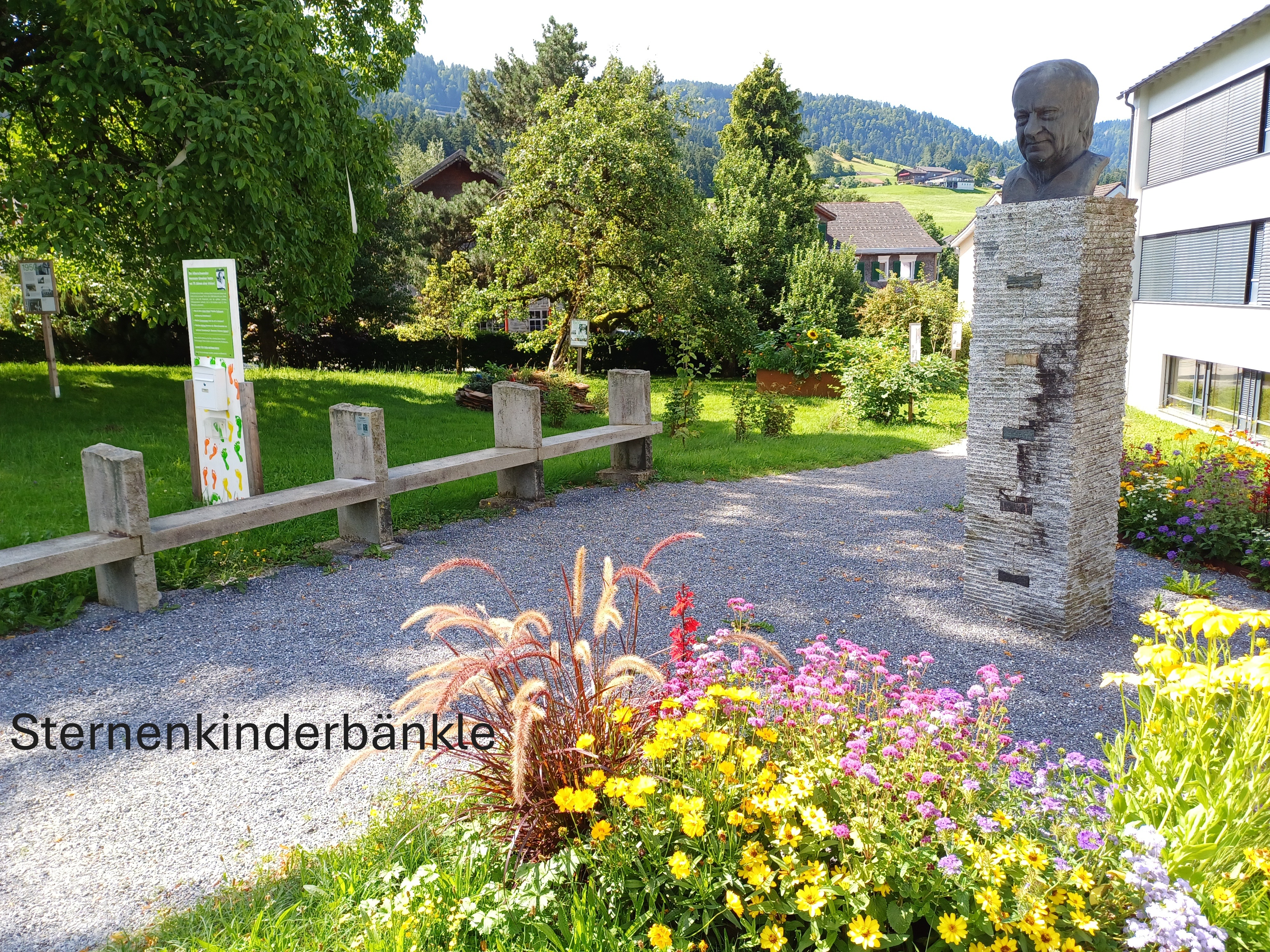 20250723 Sternenbänklefoto