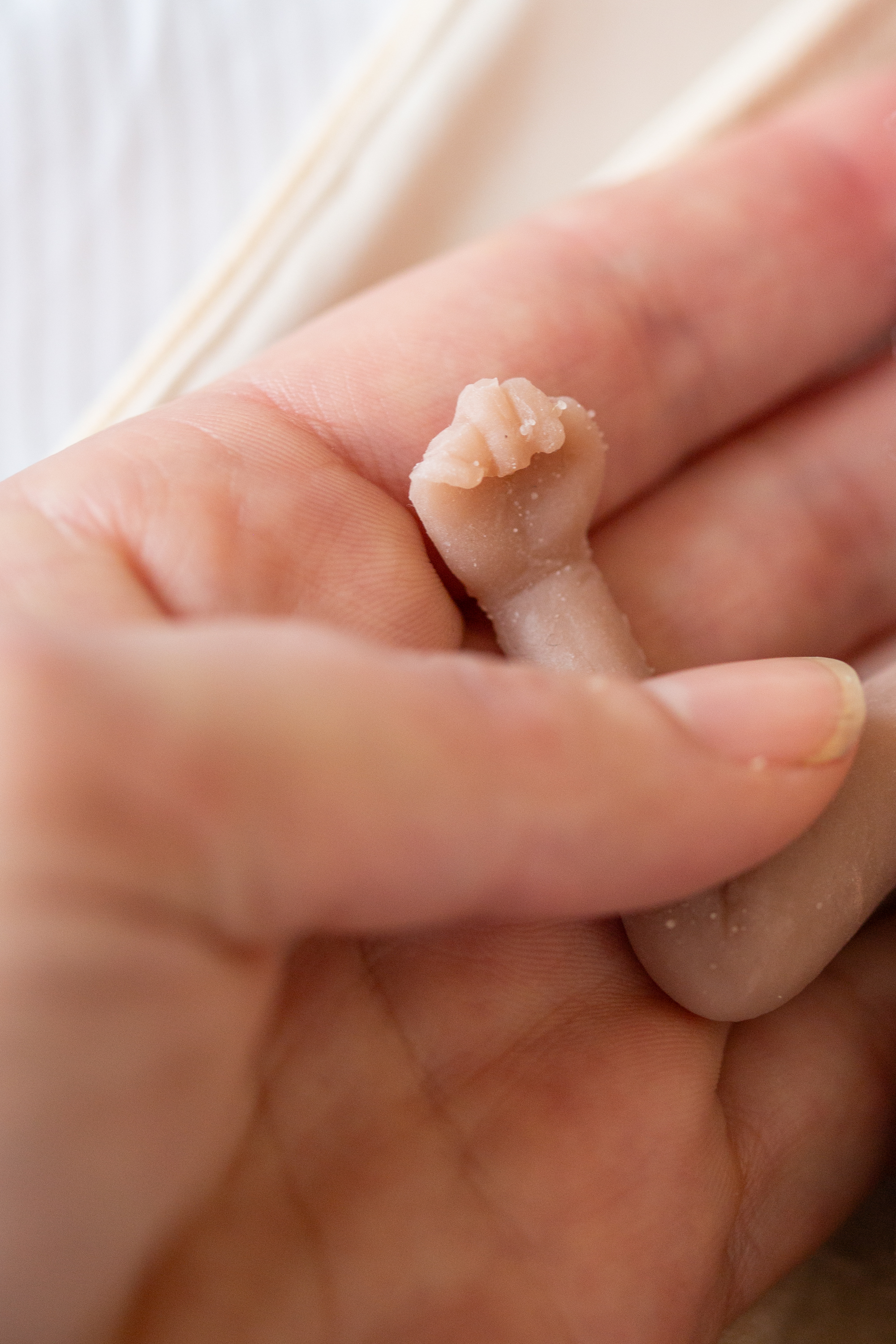 FEM Fotografie 20250217 LKHDO 60