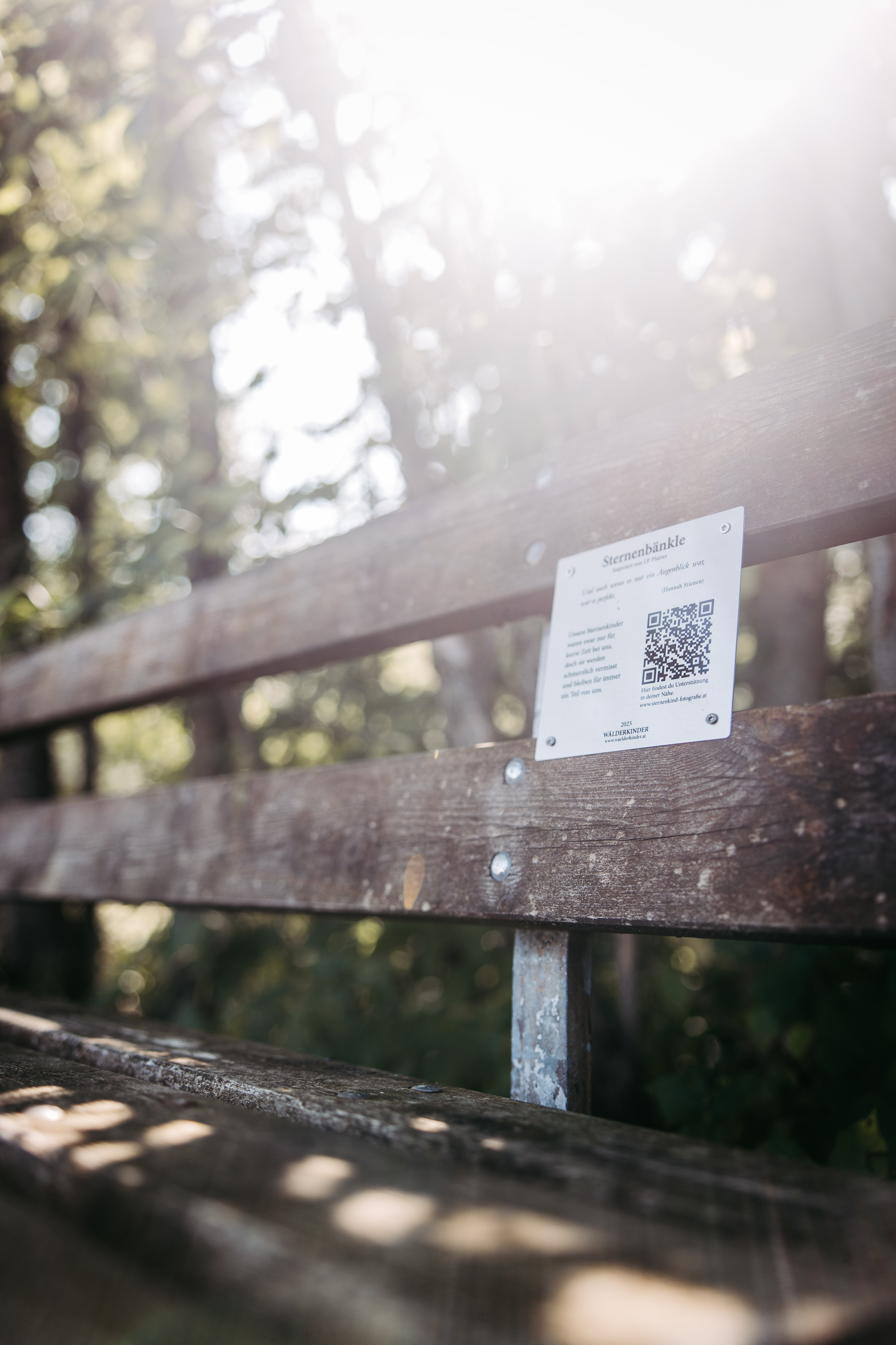 Sternenbänkle Fs25 7
